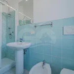 Il Nuovo Gabbiano *
