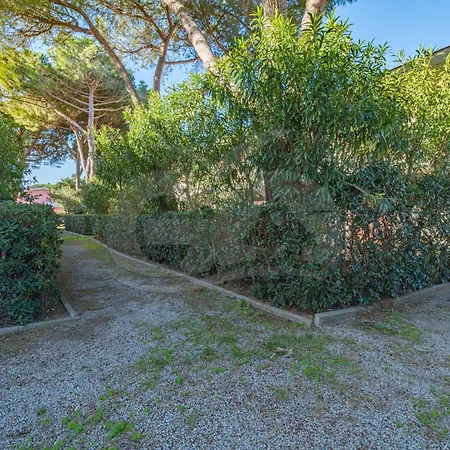 Il Nuovo Gabbiano * מרינה די קמפו