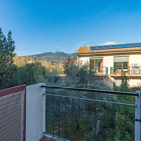 Il Nuovo Gabbiano Appartement
