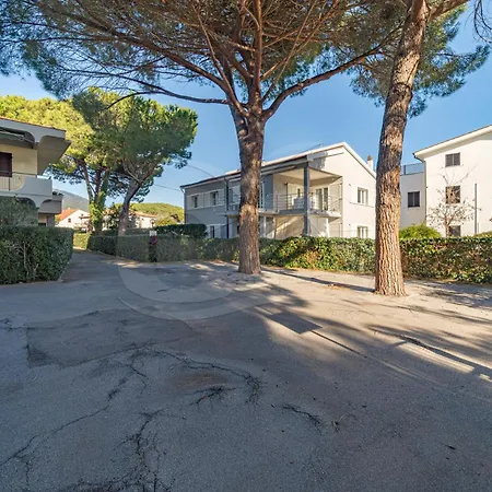 Il Nuovo Gabbiano * Marina di Campo