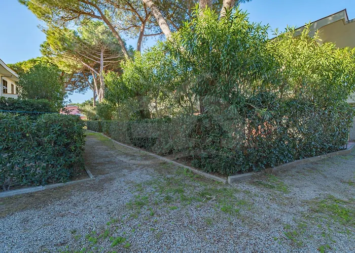 Il Nuovo Gabbiano * مارينا دي كامبو